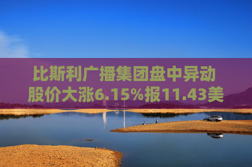 比斯利广播集团盘中异动 股价大涨6.15%报11.43美元  第1张