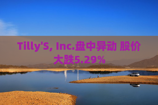 Tilly'S, Inc.盘中异动 股价大跌5.29%