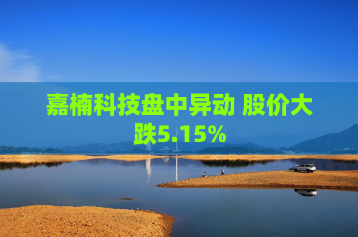 嘉楠科技盘中异动 股价大跌5.15%