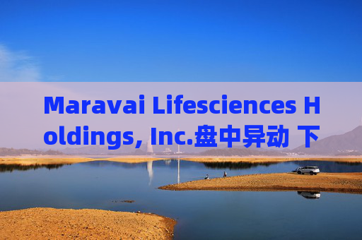 Maravai Lifesciences Holdings, Inc.盘中异动 下午盘股价大跌5.11%