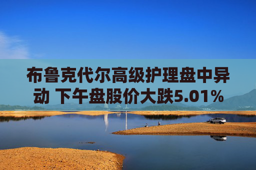 布鲁克代尔高级护理盘中异动 下午盘股价大跌5.01%  第1张