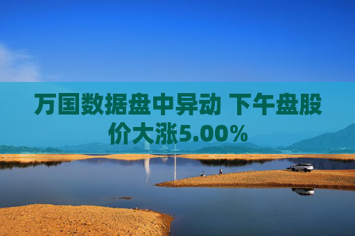 万国数据盘中异动 下午盘股价大涨5.00%  第1张