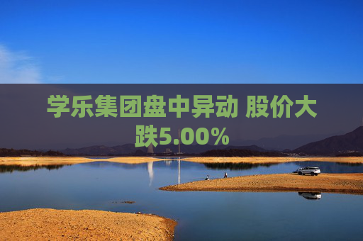 学乐集团盘中异动 股价大跌5.00%