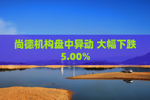 尚德机构盘中异动 大幅下跌5.00%