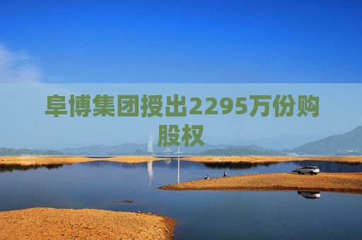 阜博集团授出2295万份购股权