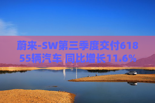 蔚来-SW第三季度交付61855辆汽车 同比增长11.6%  第1张