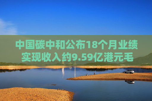 中国碳中和公布18个月业绩 实现收入约9.59亿港元毛利4990.5万港元