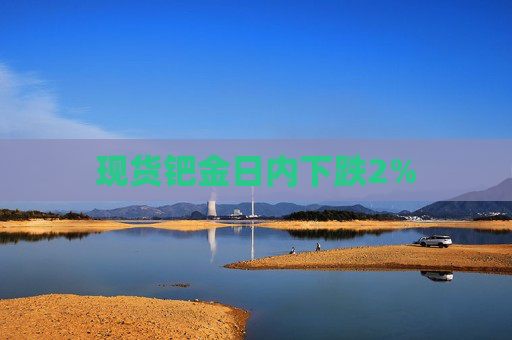 现货钯金日内下跌2%