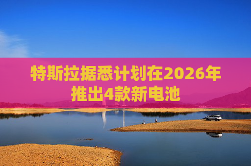 特斯拉据悉计划在2026年推出4款新电池  第1张