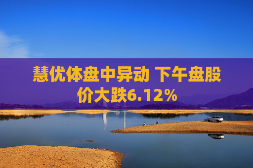 慧优体盘中异动 下午盘股价大跌6.12%