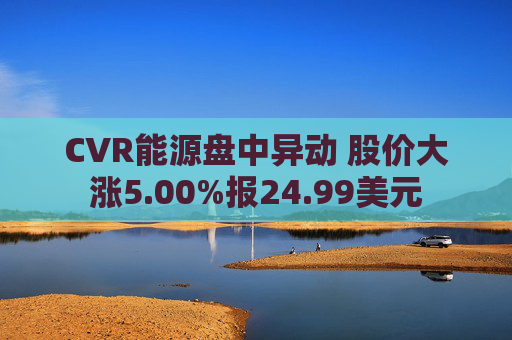 CVR能源盘中异动 股价大涨5.00%报24.99美元  第1张