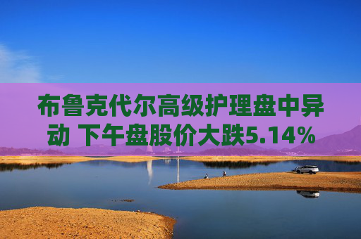 布鲁克代尔高级护理盘中异动 下午盘股价大跌5.14%  第1张