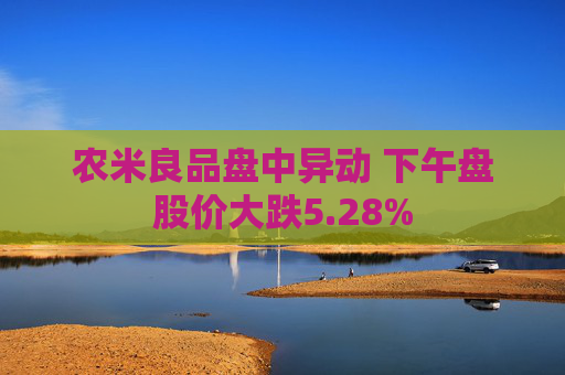 农米良品盘中异动 下午盘股价大跌5.28%