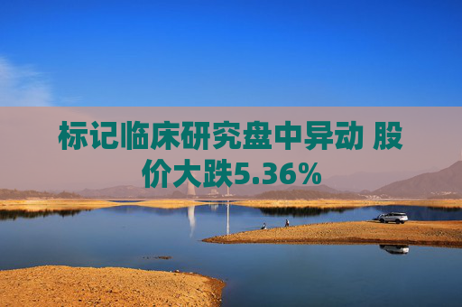 标记临床研究盘中异动 股价大跌5.36%