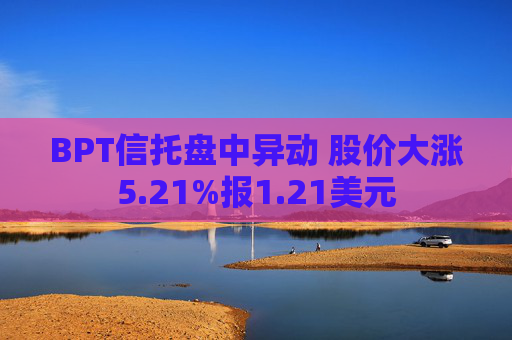 BPT信托盘中异动 股价大涨5.21%报1.21美元  第1张