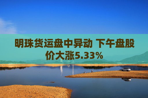 明珠货运盘中异动 下午盘股价大涨5.33%