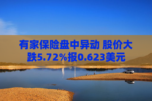 有家保险盘中异动 股价大跌5.72%报0.623美元