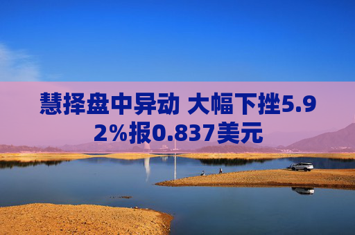 慧择盘中异动 大幅下挫5.92%报0.837美元