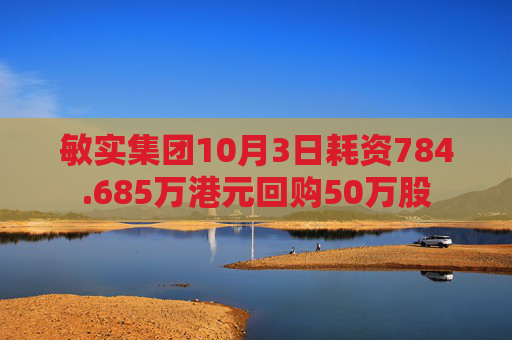 敏实集团10月3日耗资784.685万港元回购50万股  第1张