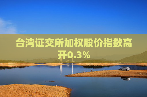 台湾证交所加权股价指数高开0.3%