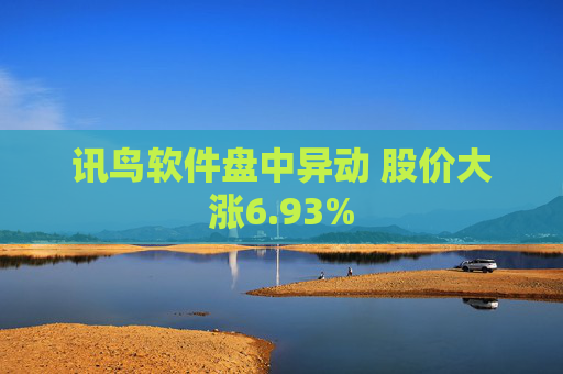 讯鸟软件盘中异动 股价大涨6.93%