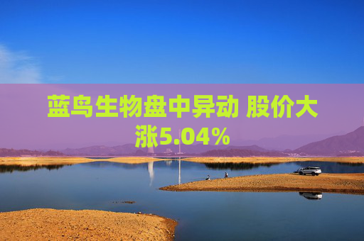 蓝鸟生物盘中异动 股价大涨5.04%