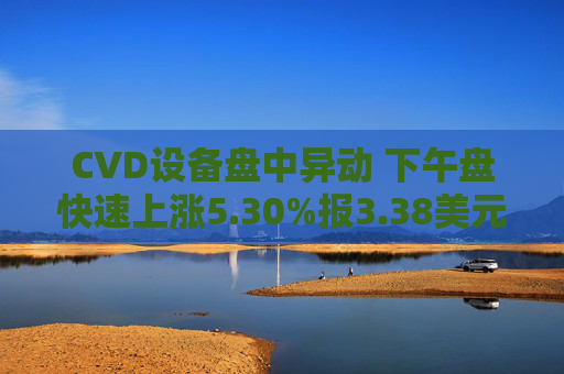 CVD设备盘中异动 下午盘快速上涨5.30%报3.38美元  第1张