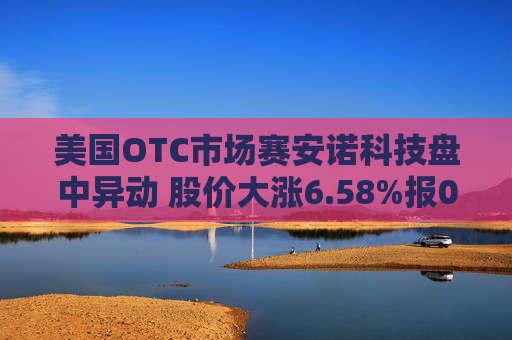 美国OTC市场赛安诺科技盘中异动 股价大涨6.58%报0.810美元