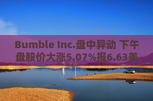 Bumble Inc.盘中异动 下午盘股价大涨5.07%报6.63美元  第1张