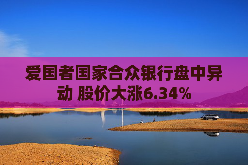 爱国者国家合众银行盘中异动 股价大涨6.34%  第1张