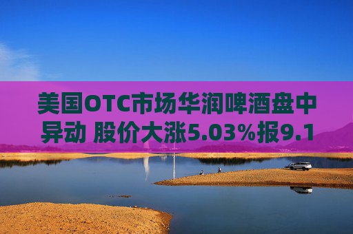 美国OTC市场华润啤酒盘中异动 股价大涨5.03%报9.14美元