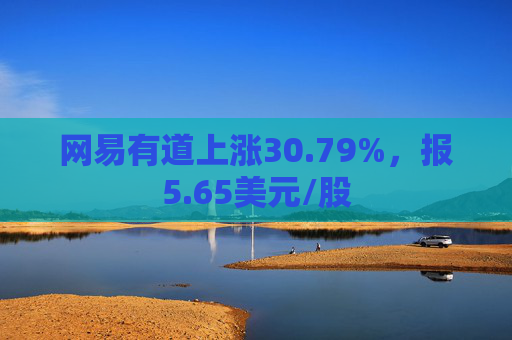 网易有道上涨30.79%，报5.65美元/股