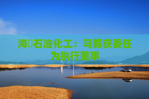 海峽石油化工：马毅获委任为执行董事  第1张