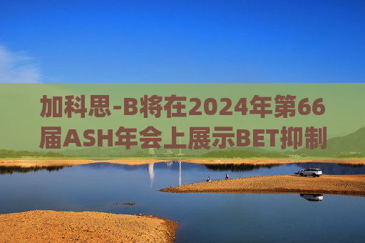 加科思-B将在2024年第66届ASH年会上展示BET抑制剂JAB-8263的临床数据  第1张