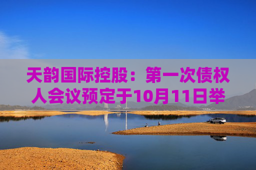 天韵国际控股：第一次债权人会议预定于10月11日举行 继续停牌  第1张