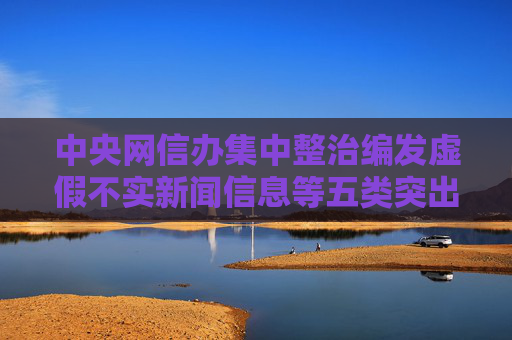 中央网信办集中整治编发虚假不实新闻信息等五类突出问题  第1张