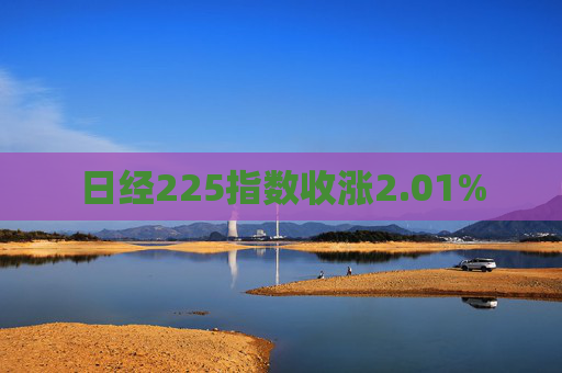 日经225指数收涨2.01%  第1张