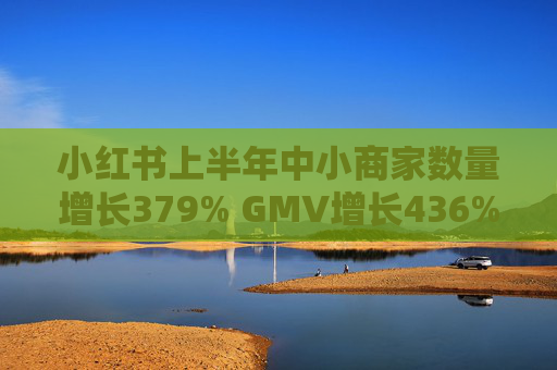 小红书上半年中小商家数量增长379% GMV增长436%