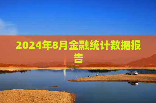 2024年8月金融统计数据报告  第1张