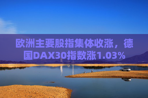 欧洲主要股指集体收涨，德国DAX30指数涨1.03%