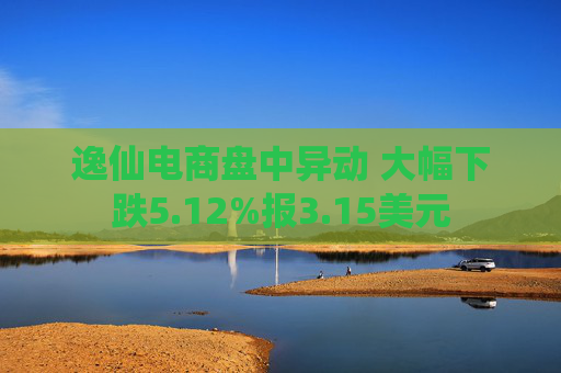 逸仙电商盘中异动 大幅下跌5.12%报3.15美元  第1张