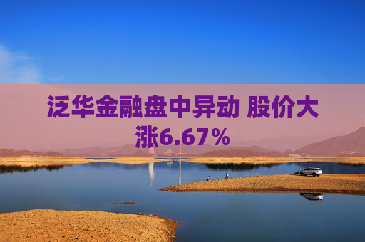 泛华金融盘中异动 股价大涨6.67%