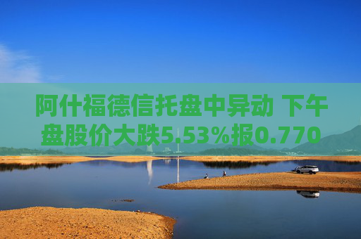 阿什福德信托盘中异动 下午盘股价大跌5.53%报0.770美元