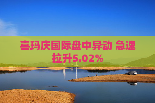 喜玛庆国际盘中异动 急速拉升5.02%