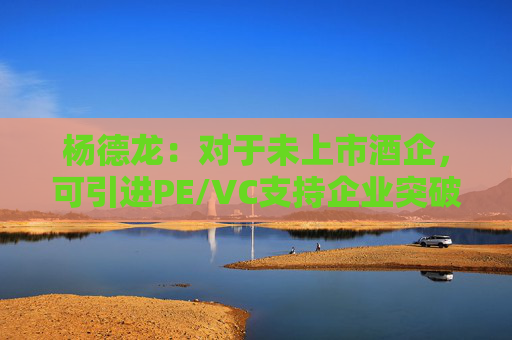 杨德龙：对于未上市酒企，可引进PE/VC支持企业突破难关  第1张