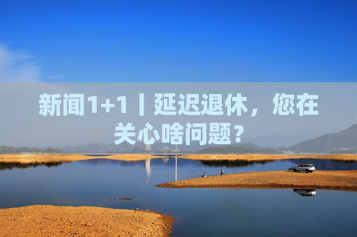 新闻1+1丨延迟退休，您在关心啥问题？  第1张