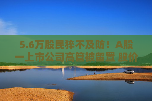 5.6万股民猝不及防！A股一上市公司高管被留置 股价闪崩、主力资金出逃  第1张