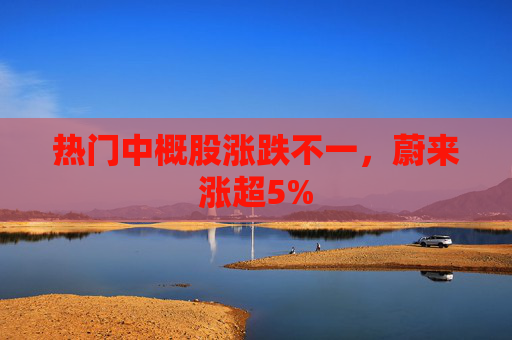 热门中概股涨跌不一，蔚来涨超5%