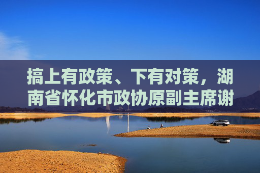 搞上有政策、下有对策，湖南省怀化市政协原副主席谢商成被“双开”  第1张