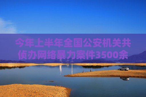 今年上半年全国公安机关共侦办网络暴力案件3500余起